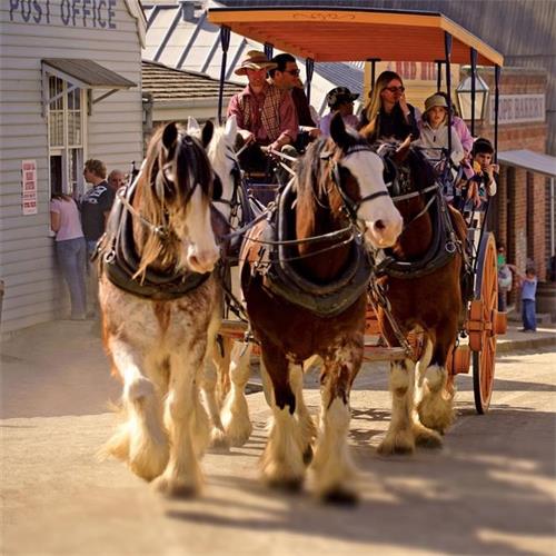 ɽ(Sovereign Hill) +Ұ԰һ